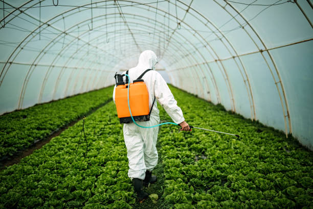Reliable Corona De Tucson, AZ Pest Control Solutions