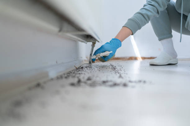 Best Commercial Pest Control Services  in Corona De Tucson, AZ